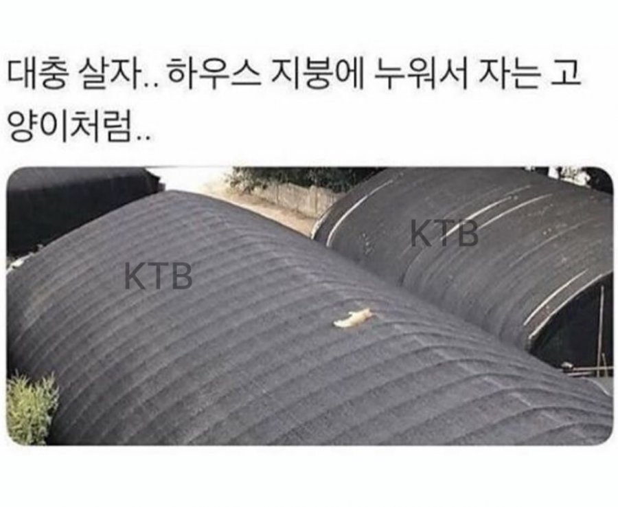 대충삽시다