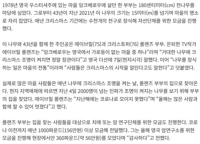 꼬마 나무를 43년 동안 키워 크리스마스 트리로 만든 노부부