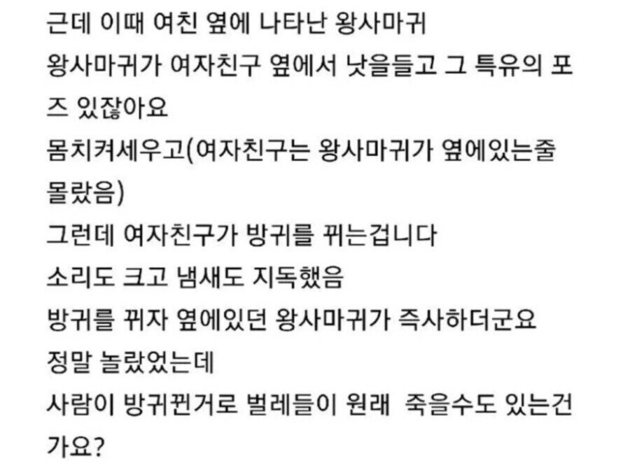 여친 방귀로 사마귀가 죽었어요.