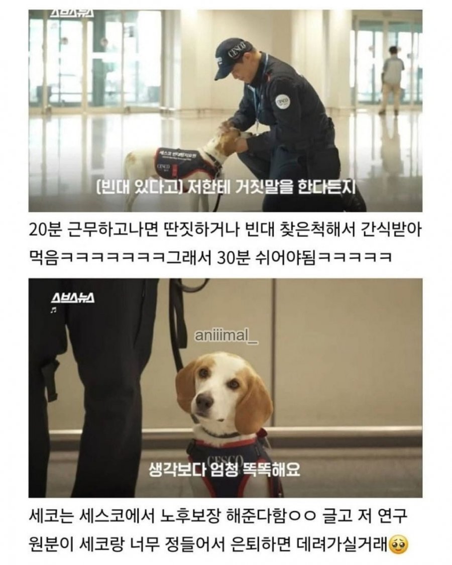20분 일하고 30분은 쉬려고 한다는 신입사원