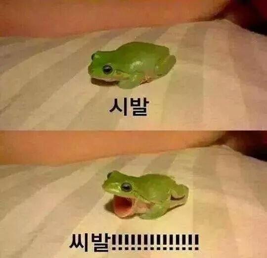 넷플릭스 더 글로리 ssibal top 5.mp4