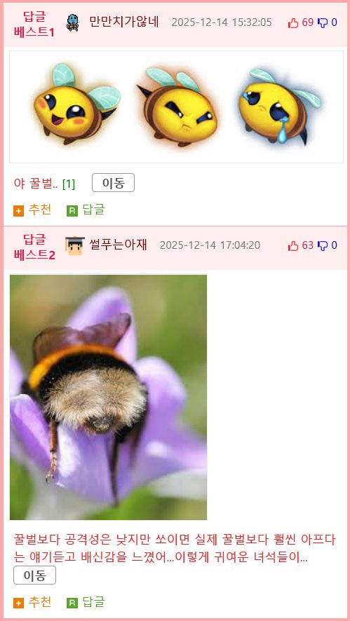 꿀벌 대체 곤충이된 호박벌.jpg