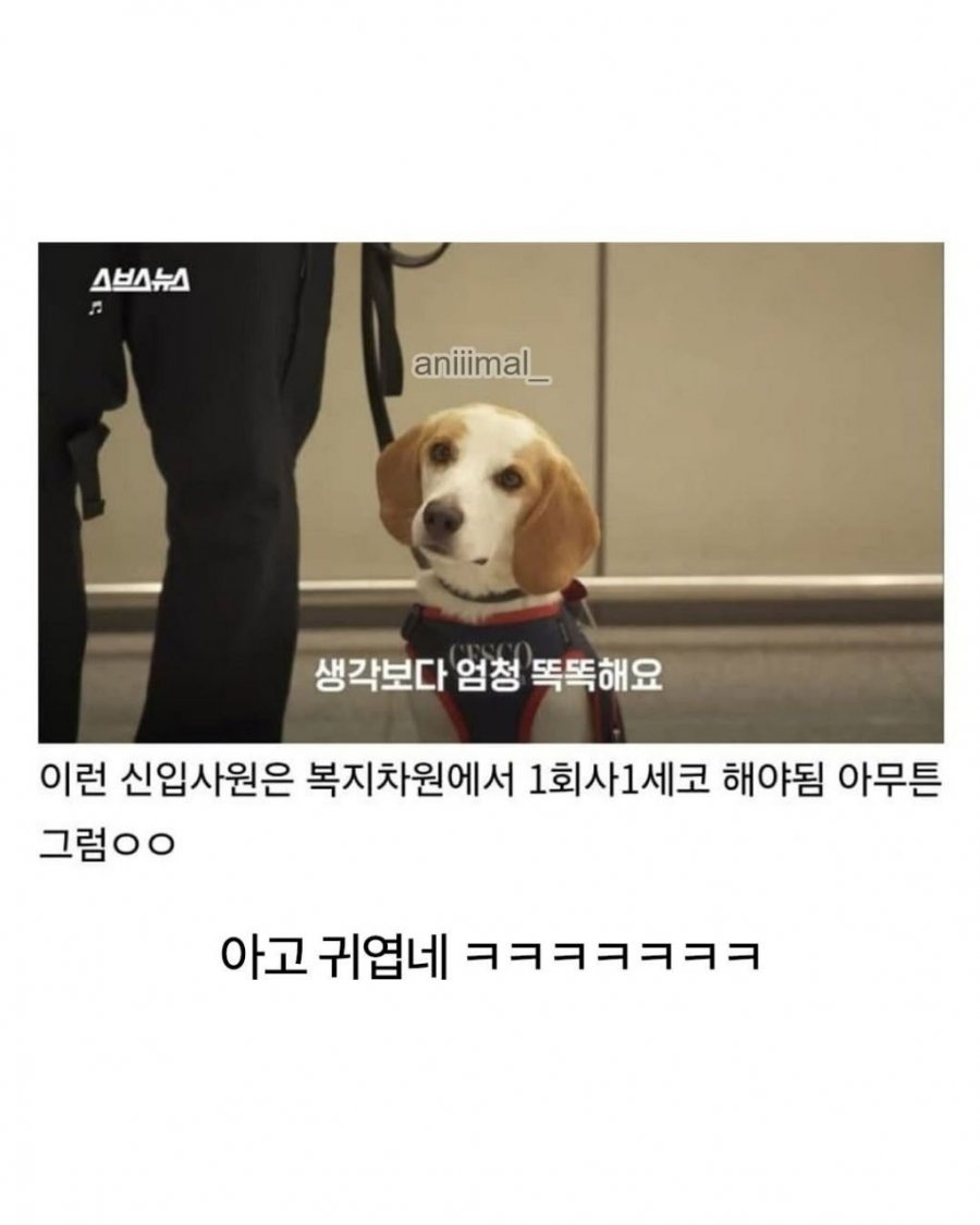 20분 일하고 30분은 쉬려고 한다는 신입사원