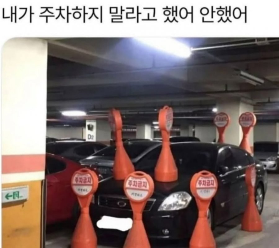 주차금지 말 안들은 자의 최후