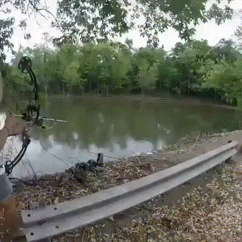 활로 물고기 잡는 눈나..gif