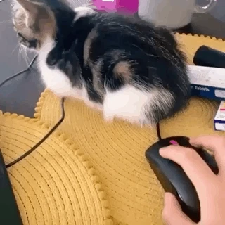 비켜주세요.gif