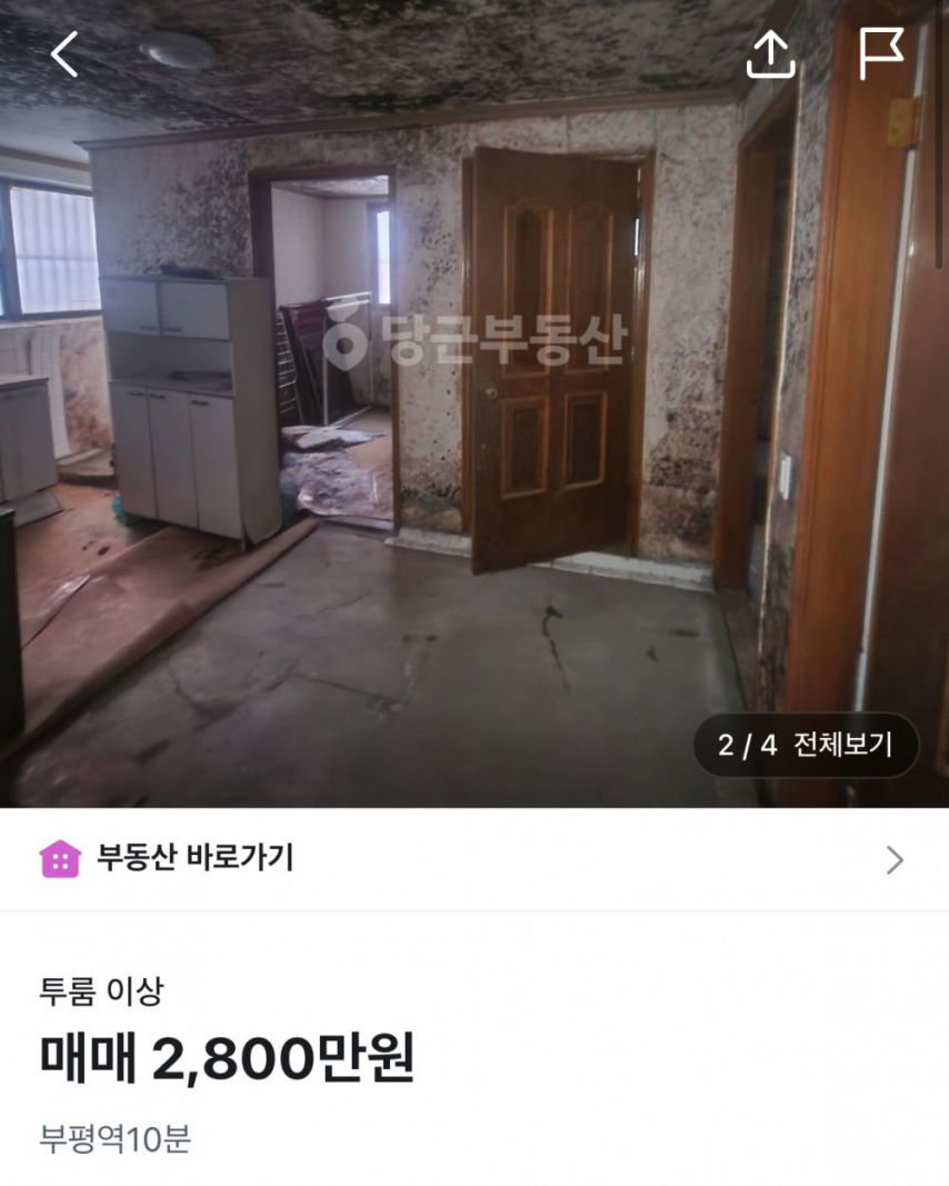 우리 동네 당근 부동산에 여러모로 미친 매물