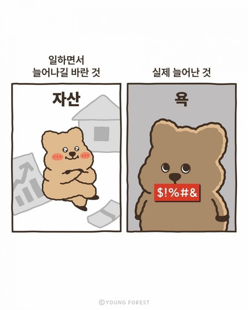 직장 다니기 전후 비교