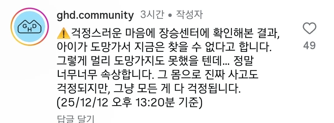 미친 강아지 학대.JPG