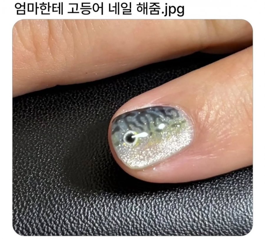 재능낭비갑