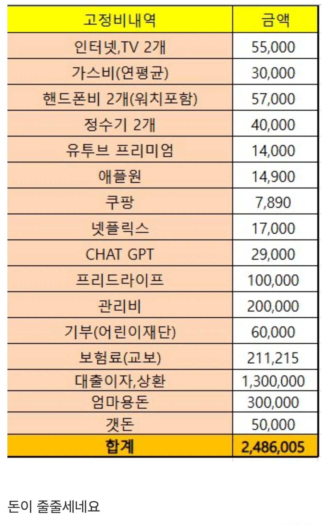 숨만 쉬어도 250만원 나간다는 40대 독거남