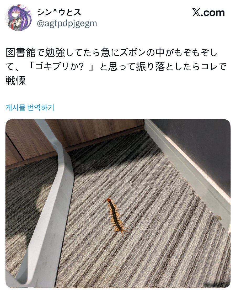 약혐) 바지속에 바퀴벌레가 들어갔나했는데 다행히 아니었음...