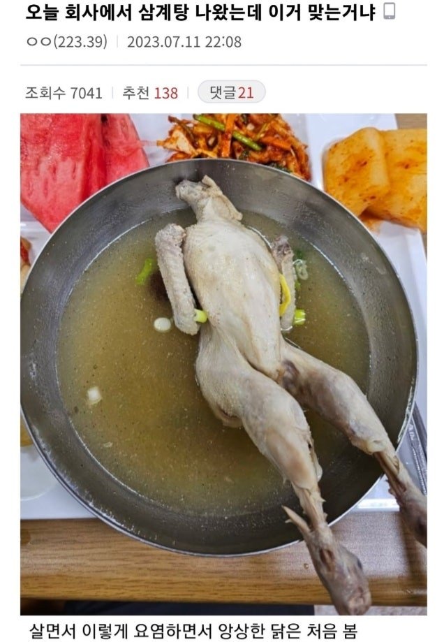 슬랜더계 영계