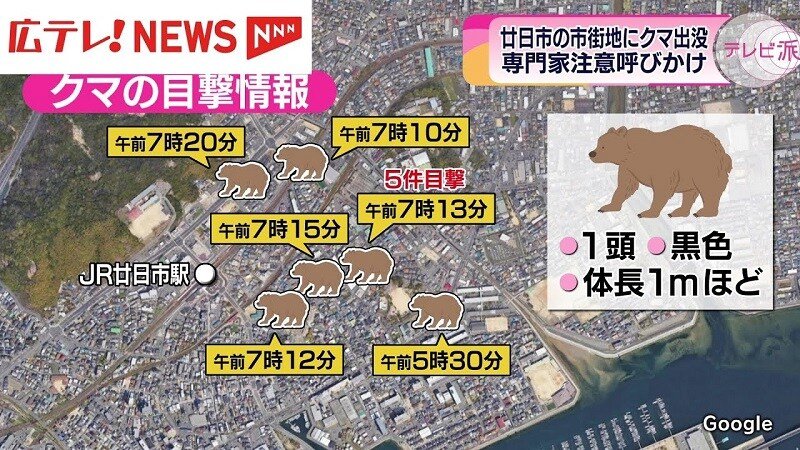 일본의 한 초등학교의 가을 소풍 대참사.jpg