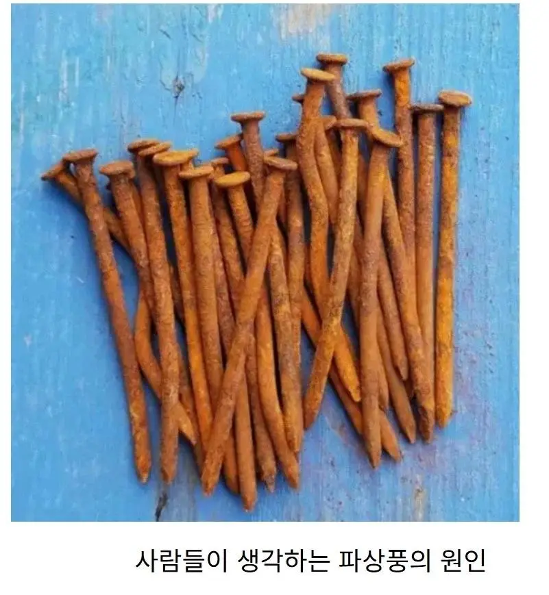 사람들이 생각하는 파상풍의 원인 vs 실제 원인