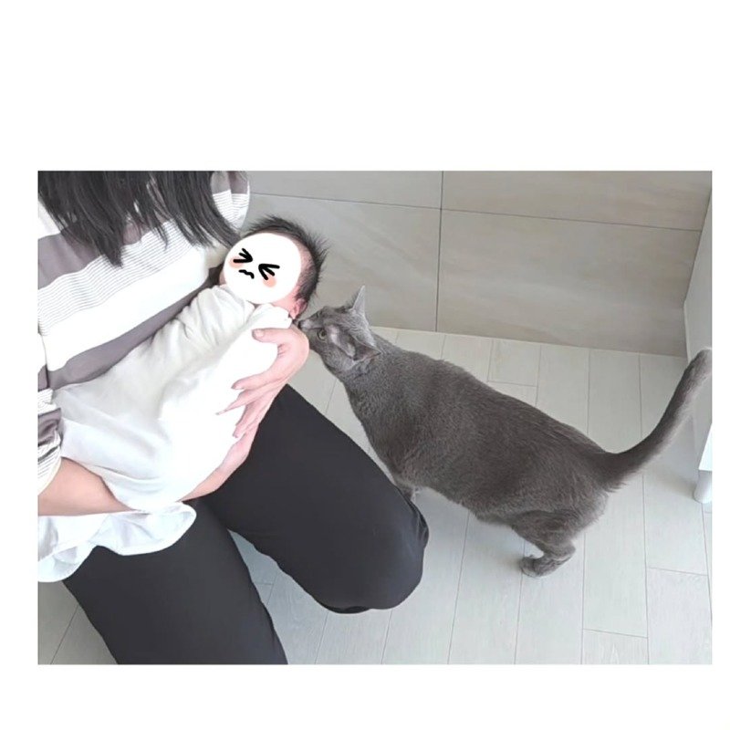 소재가 떨어져서 의대간 웹툰작가 근황.Manhwa