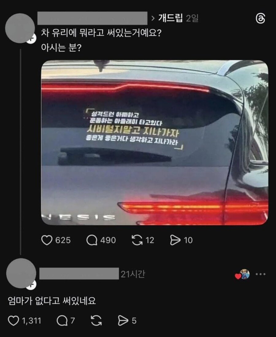차량 스티커 가짜광기, 광기, 찐 광기.jpg