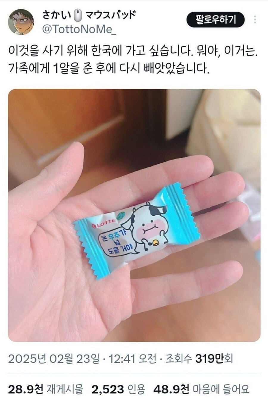일본인이 반해버린것
