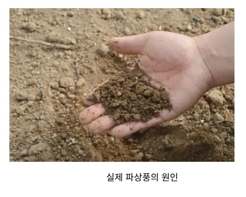 사람들이 생각하는 파상풍의 원인 vs 실제 원인