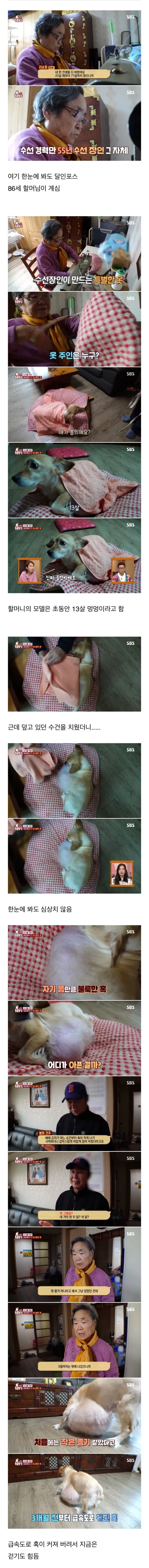 80대 할머니를 울게 만든 동물농장 제작진들.jpg