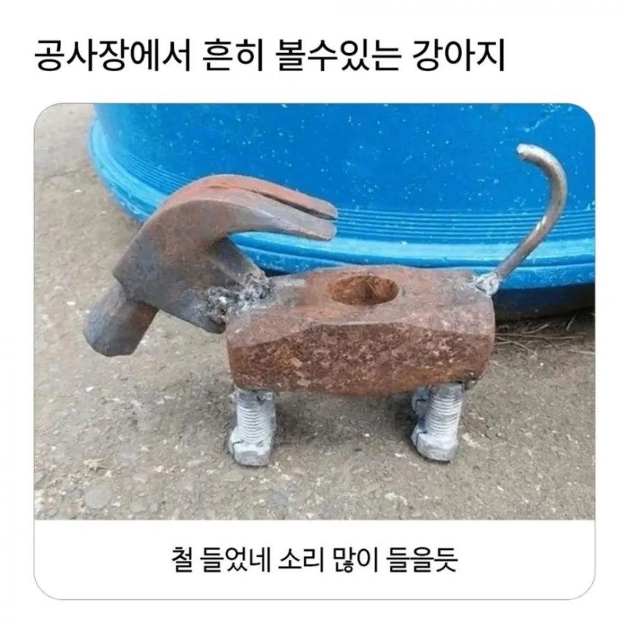 철든강아지.jpg