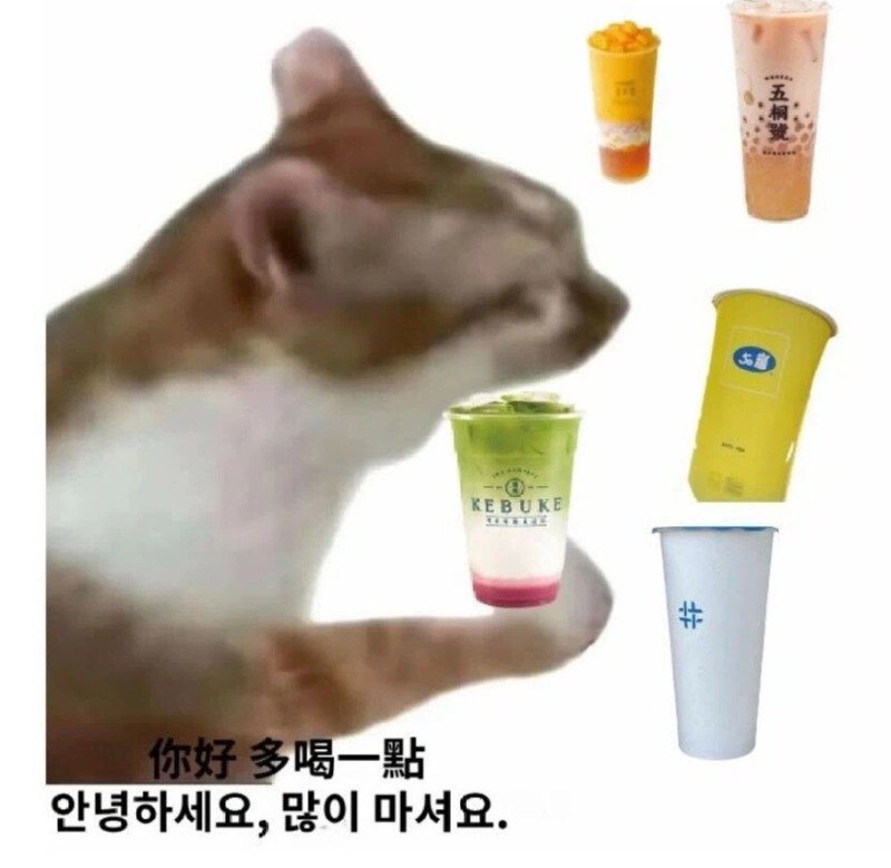 대만 여행 한다고 하면 댓글 달아주는 대만 사람들