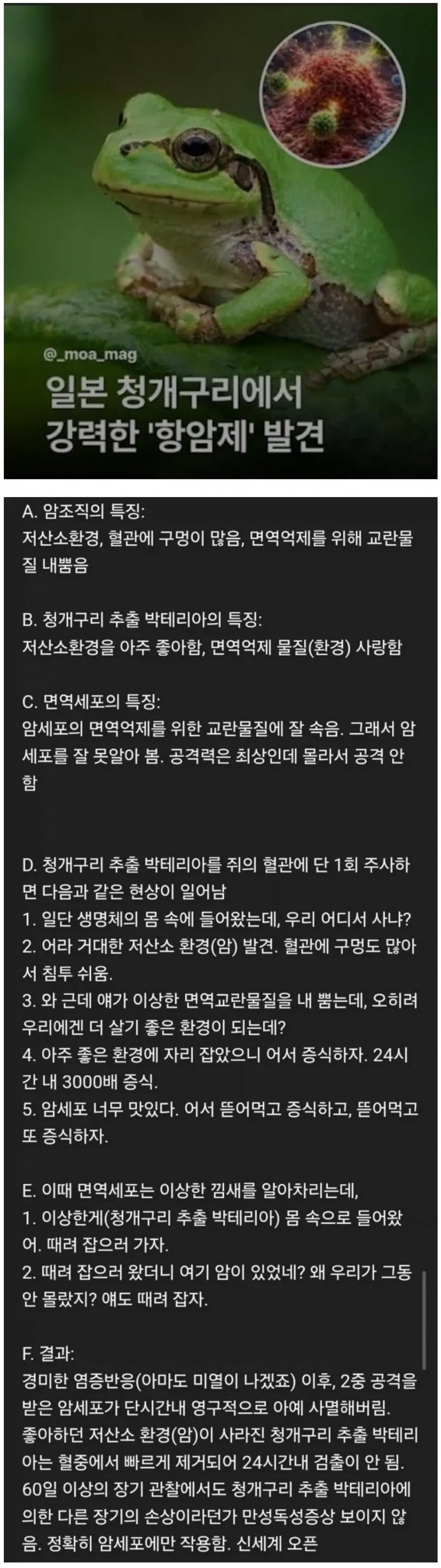 새로운 암치료제