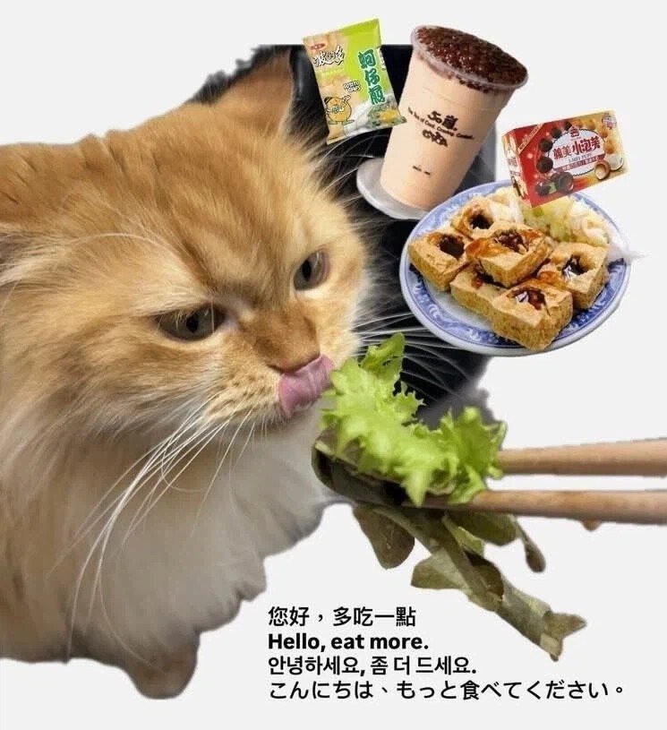 대만 여행 한다고 하면 댓글 달아주는 대만 사람들