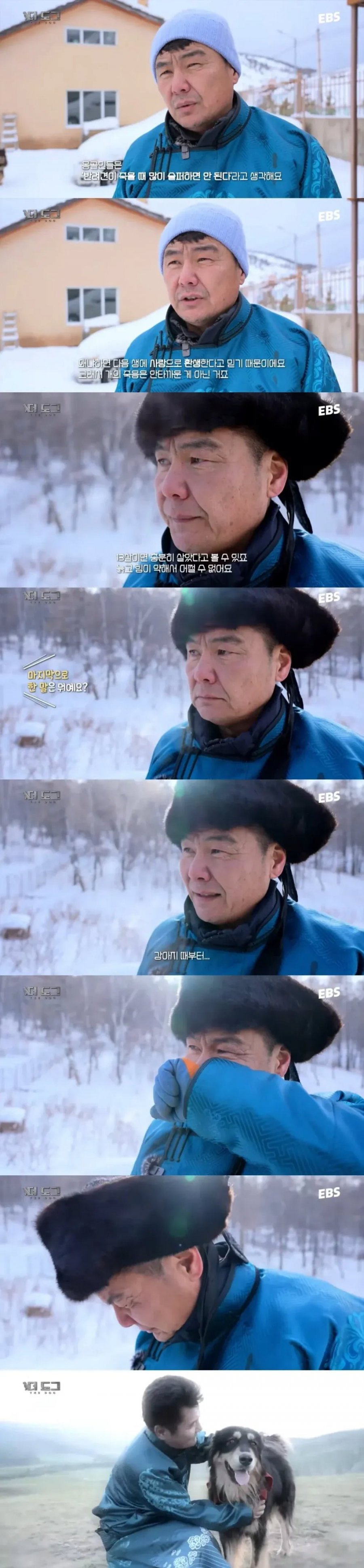 몽골인은 반려견이 죽어도 슬퍼하지 않는다