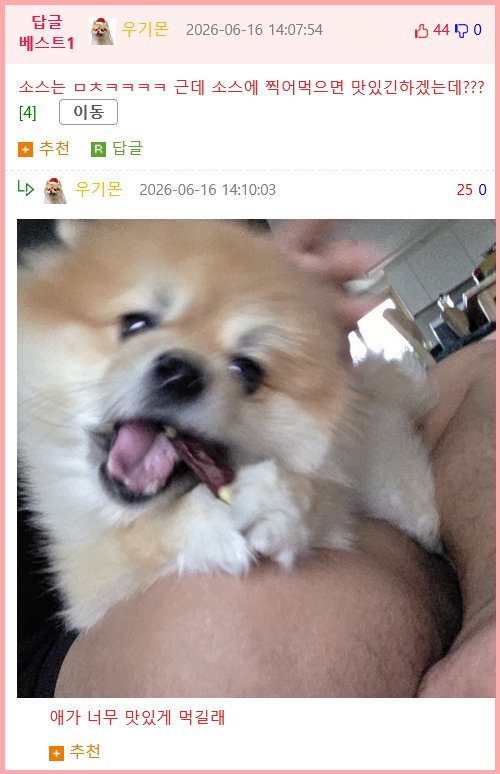 개사료는 무염이라 사람이 먹으면 맛이 없다