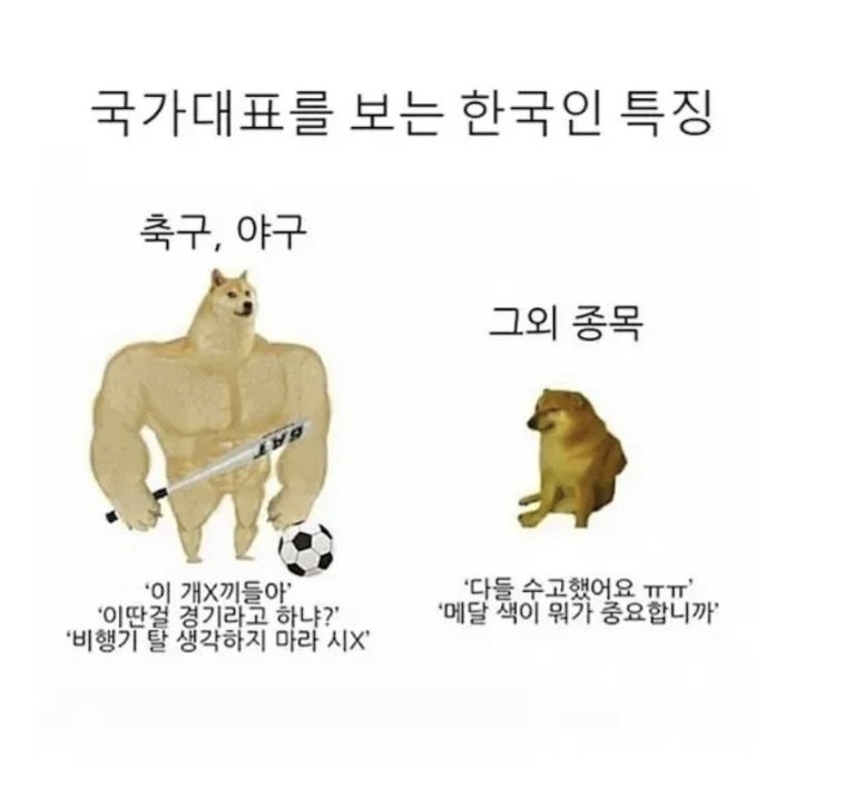 스포츠 국가대표를 보는 한국인 특징.jpg