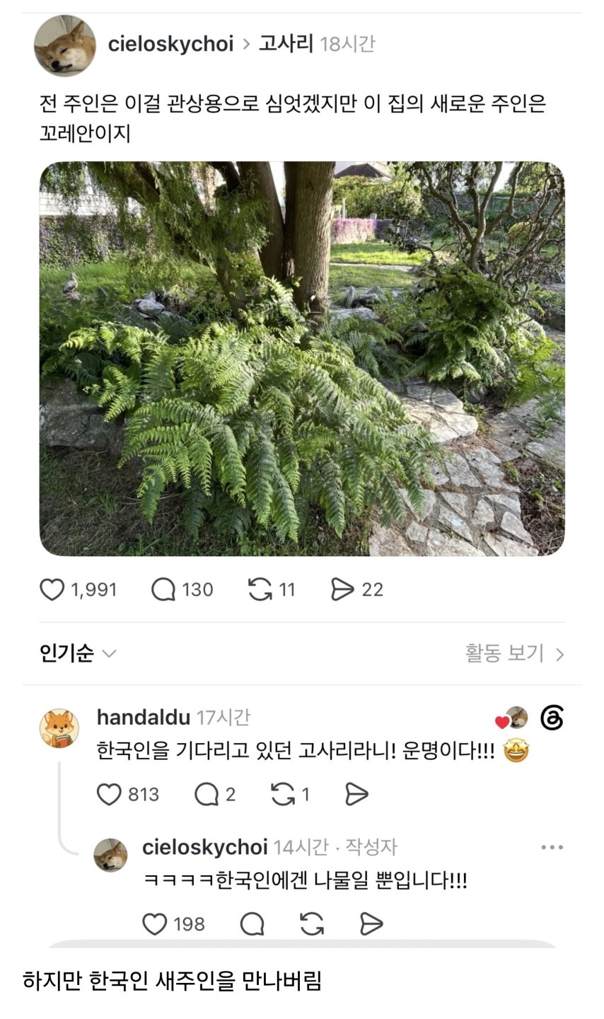 전 주인은 널 관상용으로 키웠겠지
