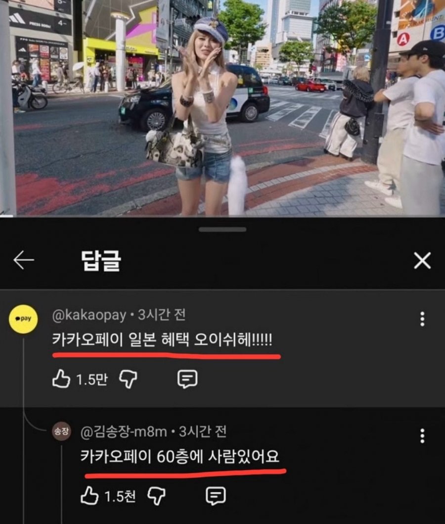안원잘부 일본편 댓글