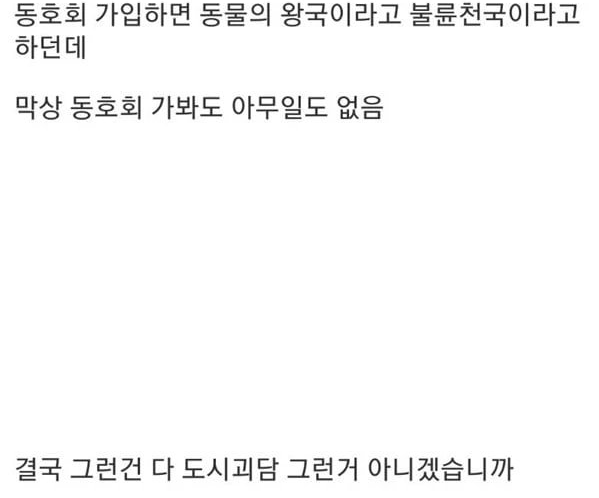 흔한 도시괴담