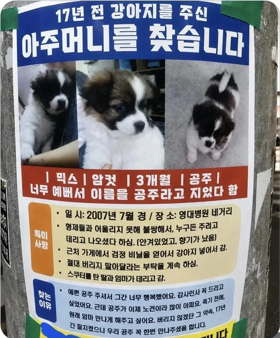 강아지 주인 찾는 전단지