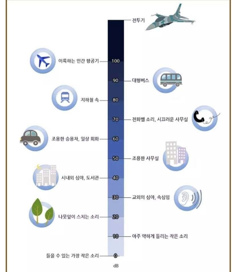 소음순 정리.JPG