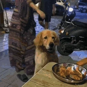 창피하게 왜 이래 정말.gif