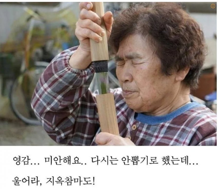 울어라!