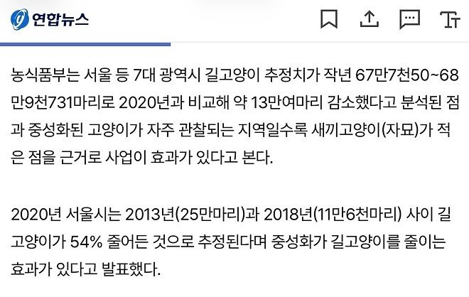 길냥이도 집냥이도 반토막? 고양이에게 대체 무슨 일이?