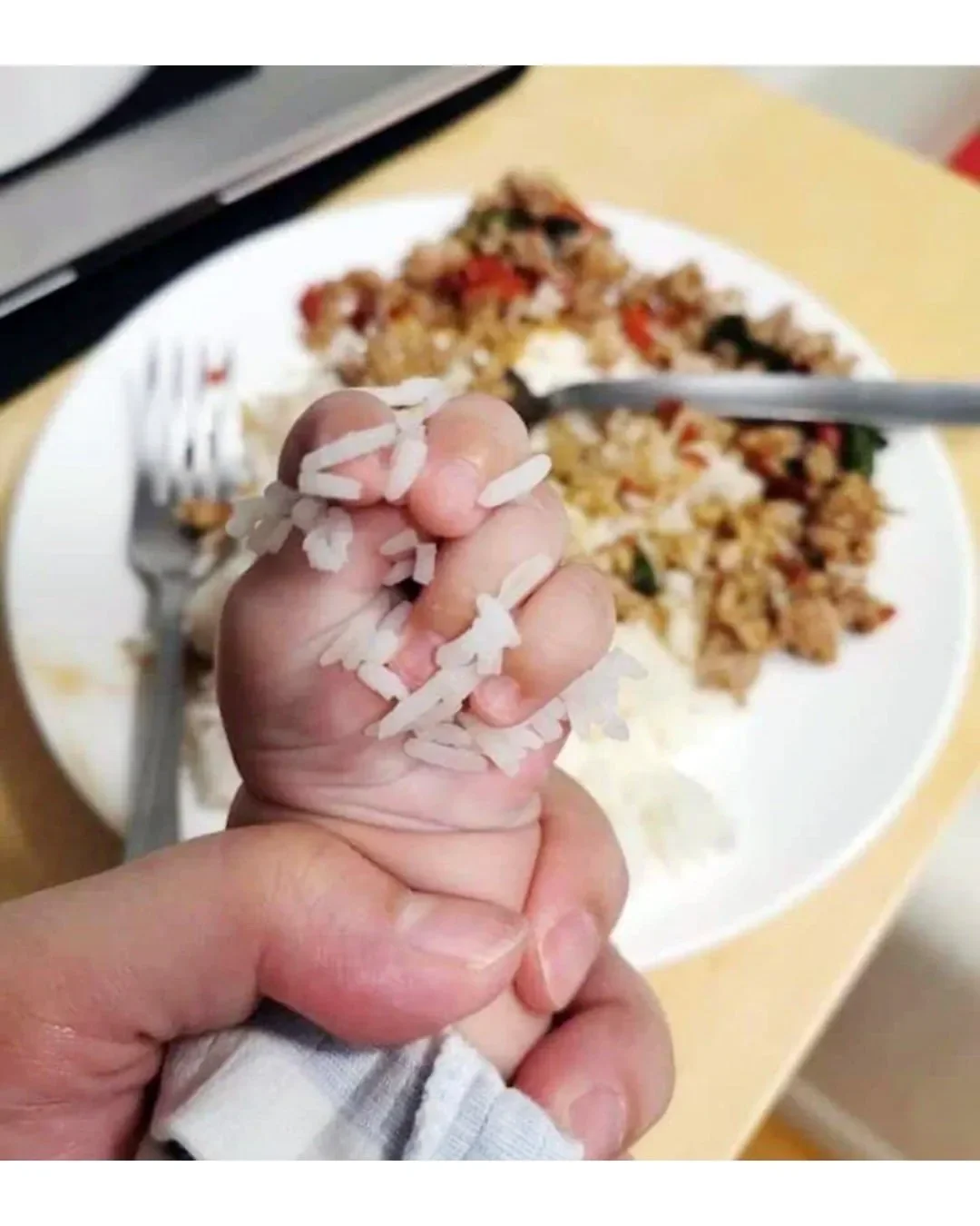 세상에서 가장 빠른 손