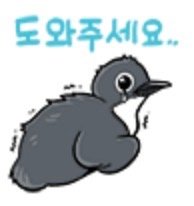 어쩌다 고양이 살처분론까지 나오게 됐을까? 진짜 범인을 알려드림