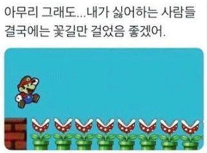 내가 싫어하는 사람이라도 결국은 꽃길만 걸었으면 좋겠어.jpg