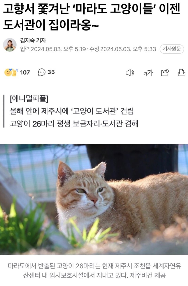어쩌다 고양이 살처분론까지 나오게 됐을까? 진짜 범인을 알려드림