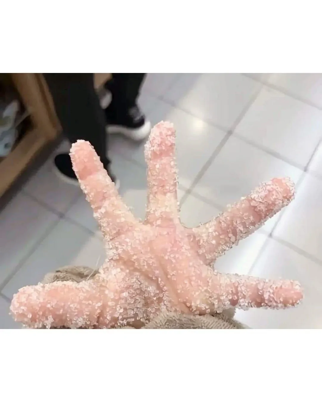 세상에서 가장 빠른 손
