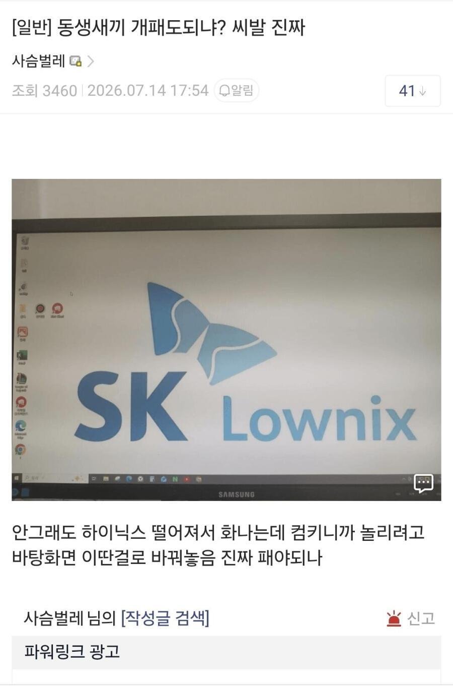동생한테 조롱당하는 하이닉스 주주