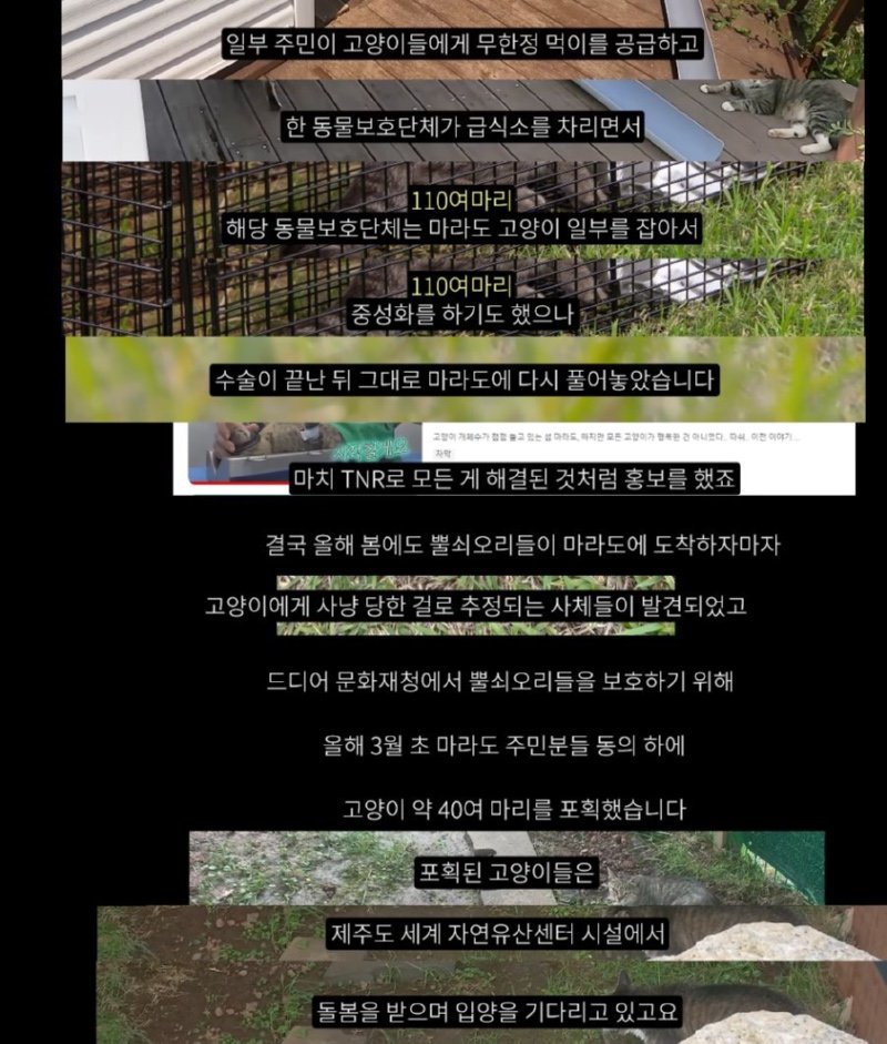 멸종위기 맹꽁이 서식지에 지자체가 벌인 일