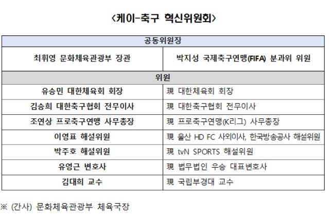 한국축구의 정상화 축권보호국 출범