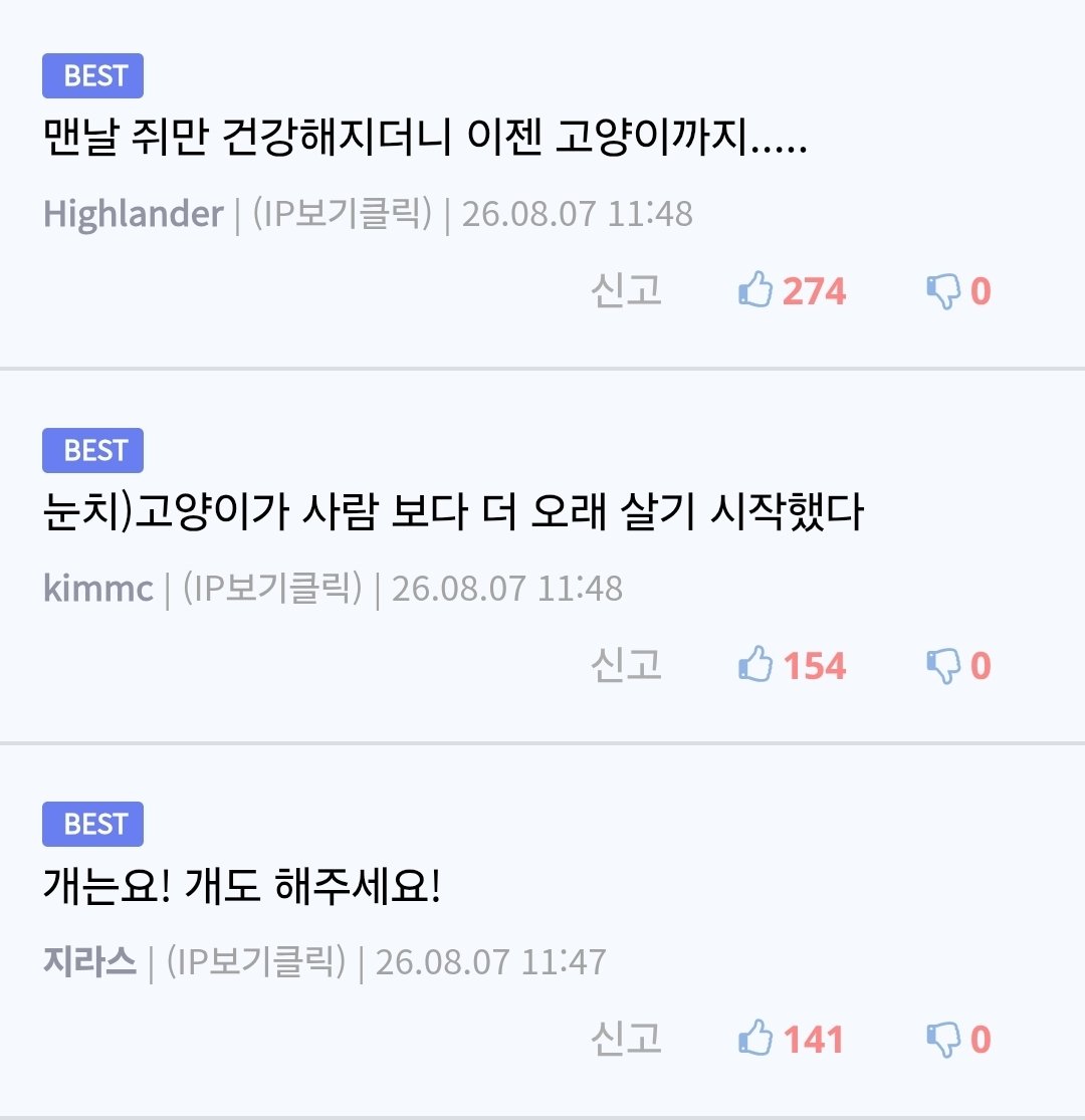 고양이 수명 30년으로 증가한다...'빠르면 내년부터 상용화'