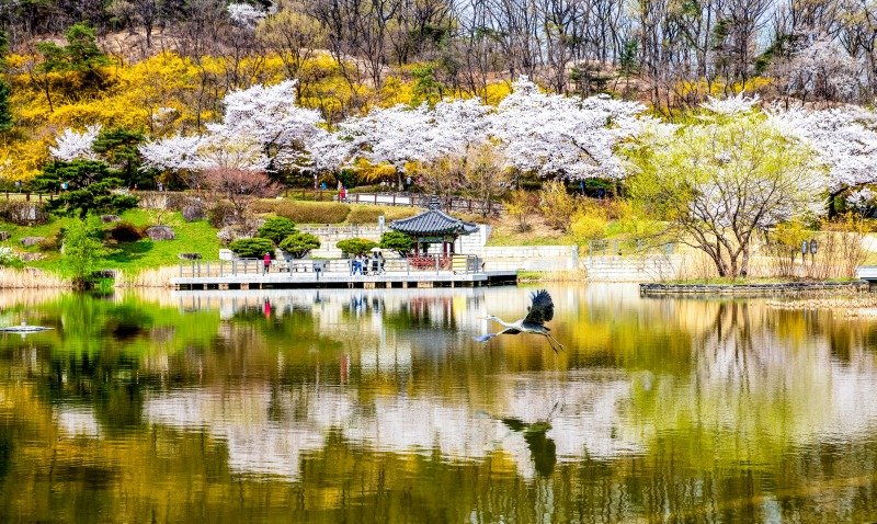 여러 사진공모전 수상작 중에서
