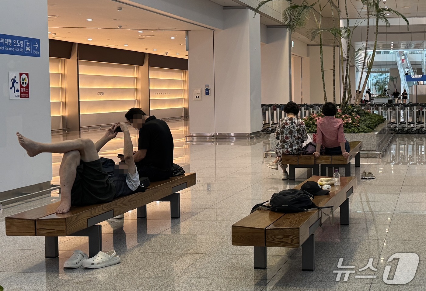 인천공항에 돗자리 깐 노인들…